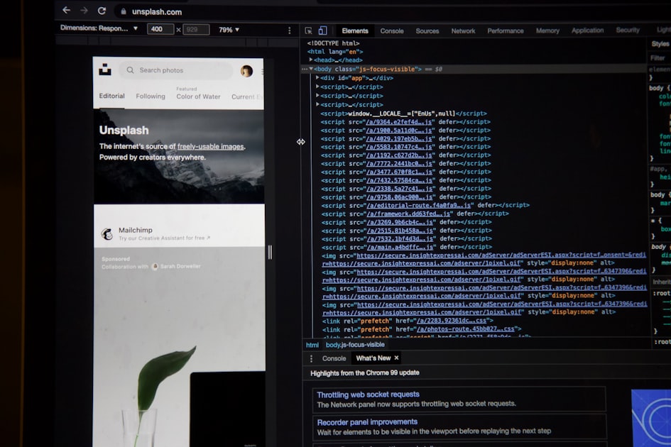 Essential Plugins for Every Site